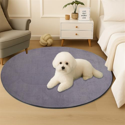 Wokuaile Teppich Rund für Schlafzimmer Kurzflor Flauschig Teppich rutschfest Waschbar für Kinderzimmer Jugendzimmer Wohnzimmer Grau, 100 cm Wokuaile Teppich Rund für Schlafzimmer Kurzflor Flauschig Teppich rutschfest Waschbar für Kinderzimmer Jugendzimmer Wohnzimmer Grau, 100 cm von Wokuaile