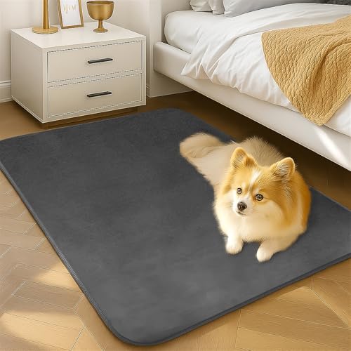 Wokuaile Teppich Schlafzimmer Kurzflor Waschbar rutschfest Flauschig Teppich Weich Groß für Kinderzimmer Jugendzimmer Wohnzimmer Dunkelgrau, 80 x 200 cm Wokuaile Teppich Schlafzimmer Kurzflor Waschbar rutschfest Flauschig Teppich Weich Groß für Kinderzimmer Jugendzimmer Wohnzimmer Dunkelgrau, 80 x 200 cm von Wokuaile