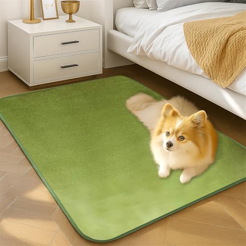 Wokuaile Teppich Schlafzimmer Kurzflor Waschbar rutschfest Flauschig Teppich Weich Groß für Kinderzimmer Jugendzimmer Wohnzimmer Grasgrün, 140 x 200 cm Wokuaile Teppich Schlafzimmer Kurzflor Waschbar rutschfest Flauschig Teppich Weich Groß für Kinderzimmer Jugendzimmer Wohnzimmer Grasgrün, 140 x 200 cm von Wokuaile