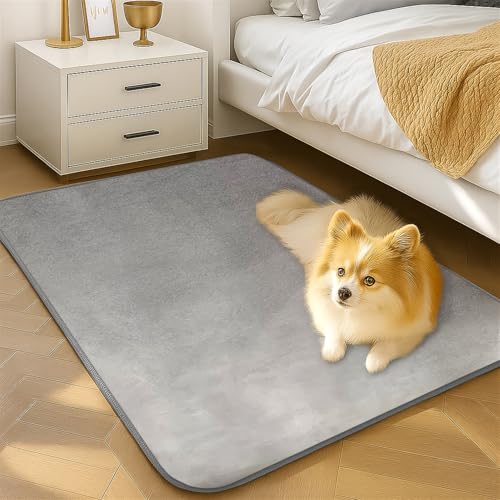 Wokuaile Teppich Schlafzimmer Kurzflor Waschbar rutschfest Flauschig Teppich Weich Groß für Kinderzimmer Jugendzimmer Wohnzimmer Grau, 60 x 90 cm Wokuaile Teppich Schlafzimmer Kurzflor Waschbar rutschfest Flauschig Teppich Weich Groß für Kinderzimmer Jugendzimmer Wohnzimmer Grau, 60 x 90 cm von Wokuaile