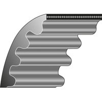 Vertikutierer Getriebe Zahnriemen WOLF-GARTEN UV-EE 0039004 WL0039 004 Vertikutierer Getriebe Zahnriemen WOLF-GARTEN UV-EE 0039004 WL0039 004 von Wolf-Garten