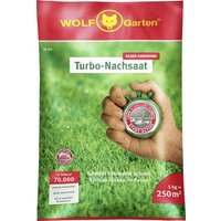 WOLF-Garten 3826050 Turbo-Nachsaat LR 250 1St. von Wolf-Garten