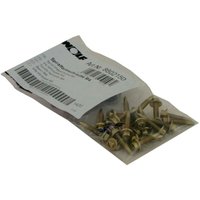 Wolf - Spiralformschraube selbstschneidend, Satz à 25 Stück Wolf - Spiralformschraube selbstschneidend, Satz à 25 Stück von Wolf