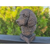 Handbemalte Büste - Cockapoo | Art.nr. B-Mp-Coc-Tb von WolfArtworksDE