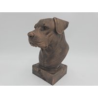 Handbemalte Büste - Dogo Argentino | Art.nr. B-Mp-Aq-Tb von WolfArtworksDE