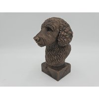 Handbemalte Büste - Goldendoodle | Art.nr. B-Mp-xe-Tb von WolfArtworksDE
