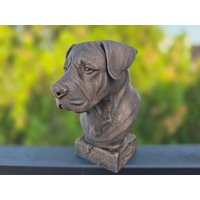 Handbemalte Büste - Presa Canario | Art.nr. B-Mp-Pre-Tb von WolfArtworksDE