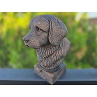 Handbemalte Büste - Tibet-Spaniel | Art.nr. B-Mp-Tib-Tb Handbemalte Büste - Tibet-Spaniel | Art.nr. B-Mp-Tib-Tb von WolfArtworksDE
