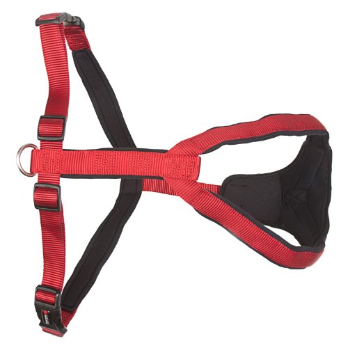 WOLTERS - Geschirr Professional Comfort - 45-50cm x 25mm - rot/schwarz von Wolters Cat & Dog