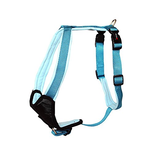 Wolters | Geschirr Professional Comfort in Aqua/Azur | Brustumfang 60 - 70 cm von Wolters Cat & Dog