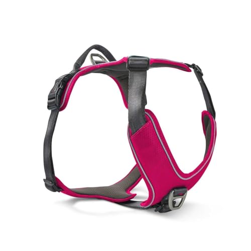 Wolters Geschirr Active Pro Comfort, Größe:55-65 cm, Farbe:Magenta/anthrazit von Wolters