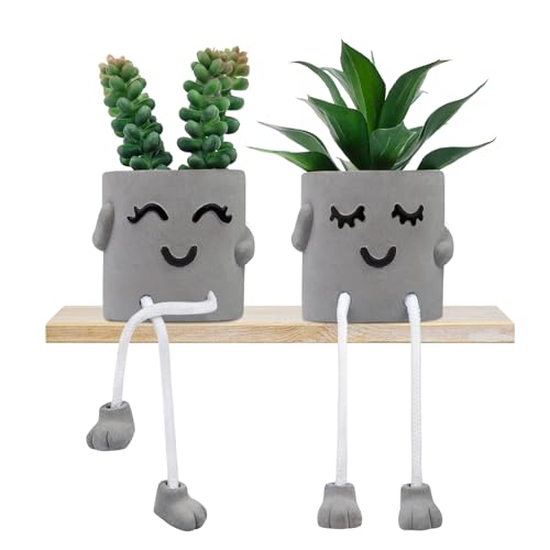 2 Stück Teilige Indoor Künstliche Pflanzen Zementpflanze Kunststoff Sukkulenten Künstlich Lächelndes Gesicht Mit Emotionaler Hängender BeinformVerwendet Für Büro Fensterbank Bücherregal Badezimmer von Woltoy