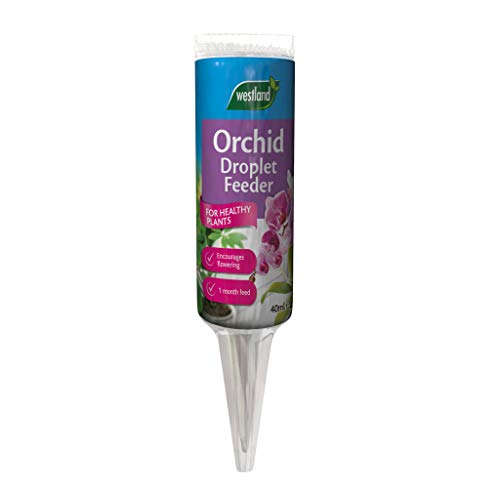 Wolvercroft Garden Centre Westland Orchid Tröpfchen-Futterstation (40 ml) x 3 von Wolvercroft Garden Centre