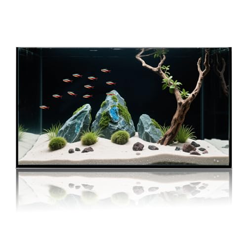 Leeres Aquarium, 10 Liter, extra großer Klarglasbehälter mit verstärktem Rand, perfekt für Gemeinschaftsfische oder lebende Pflanzen Leeres Aquarium, 10 Liter, extra großer Klarglasbehälter mit verstärktem Rand, perfekt für Gemeinschaftsfische oder lebende Pflanzen von Wonderfactory