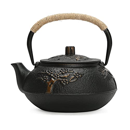 Wonfly Japanische Tetsubin-Teekanne aus Gusseisen, Bambus-Muster, Teekessel mit Edelstahl-Teesieb (Welle 0,9 l), Schwarz von Wonfly