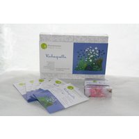 Wonnenschein Saatgut-Box Ruhequelle | 6 Sämereien I.d. Geschenk-Box von WonnenscheinSaatgut