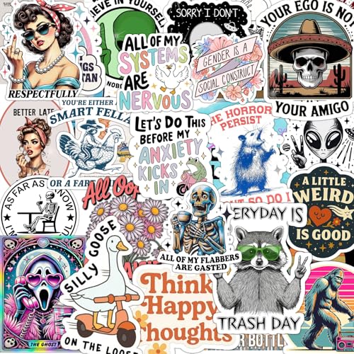 Wonninek Holografische Aufkleber for Erwachsene, 200 Stück Lustig Meme Sticker Set, Wasserfeste Vinyl Sticker für Laptop Kindle Skateboard Kühlschrank Scrapbook Koffer Journal Stickerbomb von Wonninek