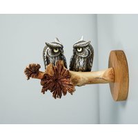 Eulenpaar Auf Einem Ast Wanddekor, Wand Kunst, Bemalte Figur, Bunt, Romantisch, Holzverzierung, Hochzeitsgeschenk, Weihnachtsgeschenk Eulenpaar Auf Einem Ast Wanddekor, Wand Kunst, Bemalte Figur, Bunt, Romantisch, Holzverzierung, Hochzeitsgeschenk, Weihnachtsgeschenk von WoodGlassDecor