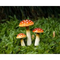 Hölzerner Feengarten-Pilz-Set, Natürliche, Rote Pilzskulptur, Outdoor-Kunst, Bemalte Statue, Amanita, Blumentopfdekor, Weihnachtsdekor Hölzerner Feengarten-Pilz-Set, Natürliche, Rote Pilzskulptur, Outdoor-Kunst, Bemalte Statue, Amanita, Blumentopfdekor, Weihnachtsdekor von WoodGlassDecor