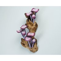 Lila Hängende Pilzkunst, Wandstatue, Feenpilz, Dekorativ, Wald, Handgemachte Kunst, Wohnzimmerdekor, Weihnachtsdekor Lila Hängende Pilzkunst, Wandstatue, Feenpilz, Dekorativ, Wald, Handgemachte Kunst, Wohnzimmerdekor, Weihnachtsdekor von WoodGlassDecor