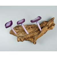 Lila Pilz Wandhaken, Holzdekor, Kunstwerk, Handgemacht, Natur, Handgefertigt, Schlüsselhalter, Abschlussgeschenke Für Ihn, Weihnachtsdekoration Lila Pilz Wandhaken, Holzdekor, Kunstwerk, Handgemacht, Natur, Handgefertigt, Schlüsselhalter, Abschlussgeschenke Für Ihn, Weihnachtsdekoration von WoodGlassDecor