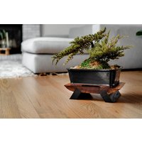 Live Edge Walnuss Bonsaiständer Schwarzer Holz Riser Live Edge Walnuss Bonsaiständer Schwarzer Holz Riser von WoodcookWorkshop