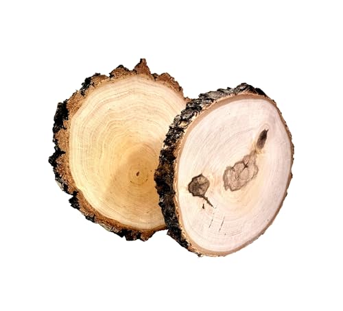 Wooden World – 2er-Set Naturholzscheiben (Ø 20–24 cm, 2,8 cm dick), rustikale Rindendeko, beidseitig glatt, ideal für Bemalen, Gravur, DIY & Handarbeit von Wooden World