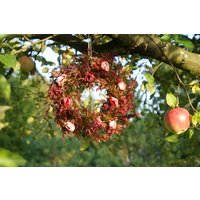 Herbstkranz Für Haustür, Herbstkranz, Türkranz, Rosenkranz, Wanddeko Herbst, Heidekranz von WoodenstoriesArt