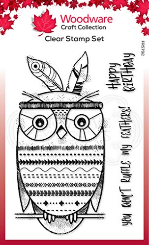 Woodware FRS792 Klare Set BO-Hoot-transparenter Photopolymer-Stempel, haftet an Acrylblöcken, dekoratives Zubehör für Karten, Journal, DIY-Basteln/Kunst, Durchsichtig, 4 x 6 inches von Woodware