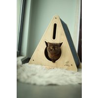 Katzenhaus Für Kleine Bis Mittelgroße Katzen Aus Mdf Holz, Fsc Zertifiziert Mit Integriertem Abwaschbarem Kissen Und Kratzfestem Teppich von WoofyPetEurope