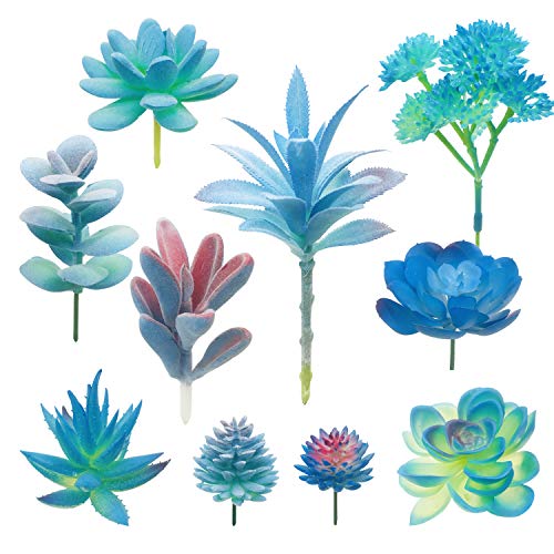 Woohome 10 Stück Künstliche Sukkulenten Blau Unfotted Faux Blume Sukkulenten Sukkulenten Künstlich Gemischt für Zuhause Indoor Fairy Garden Dekorationen von Woohome
