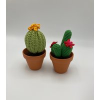 Häkelkaktus Mit Blumen, Handhäkelpflanze, Muttertagsgeschenk von WoolandCardsCrafts