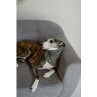 Handgestrickter Hunde Schlauchschal Windhund Whippet Ohrwärmer Wolle Snood Für Welpe Handgestrickter Hunde Schlauchschal Windhund Whippet Ohrwärmer Wolle Snood Für Welpe von WoolenWoolShop