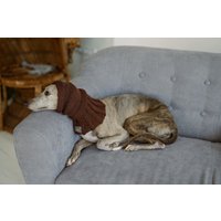 Hunde Snood Handgestrickte Whippet Schal Ohrenwärmer Wolle Greyhound Snood Stirnwärmer Mit Loch Für Die Leine Hunde Snood Handgestrickte Whippet Schal Ohrenwärmer Wolle Greyhound Snood Stirnwärmer Mit Loch Für Die Leine von WoolenWoolShop