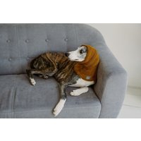 Hund Snood Handgestrickter Windhundschal Senf Wolle Whippet Ohrwärmer von WoolenWoolShop