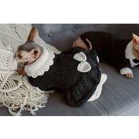 Katzenkleid Sphynx Katzenkleidung Handgestricktes Kragenkleid Für Blankkatzenkleidung Wollkatzen-Outfit von WoolenWoolShop