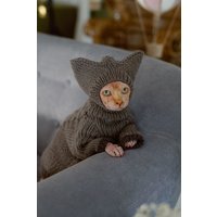 Katzenmütze Handgestrickte Haustierbeanie Sphynx-Katzenzusätze Häkelmütze Für Haarlose Katzen Katzenmütze Handgestrickte Haustierbeanie Sphynx-Katzenzusätze Häkelmütze Für Haarlose Katzen von WoolenWoolShop