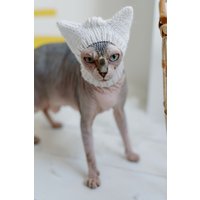 Weiße Katzenmütze Sphynx Katzenaccessoires Haustiermütze Handgestrickte Für Haarlose Katzen Gehäkelte Wintermütze von WoolenWoolShop