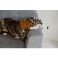 Whippet Snood Handgestrickte Greyhound Schal Hunde Halswärmer Wolle Kleidung Accessoires von WoolenWoolShop