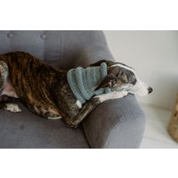 Hundestrick Rundschal Whippet Halswärmer Greyhound Wollschal Handstricken Hundeaccessoires Hundestrick Rundschal Whippet Halswärmer Greyhound Wollschal Handstricken Hundeaccessoires von WoolenWoolShop