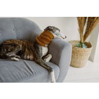 strickhund Snood Wolle Whippet Halswärmer Windhundschal Handstricken Hundekleidung strickhund Snood Wolle Whippet Halswärmer Windhundschal Handstricken Hundekleidung von WoolenWoolShop