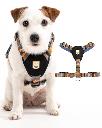 Woolly Wolf Nightless Night Dog Harness L - Hundegeschirr für große Hunde aus recyceltem Polyester, Perfekte Passform und Reflektoren für erhöhte Sichtbarkeit Woolly Wolf Nightless Night Dog Harness L - Hundegeschirr für große Hunde aus recyceltem Polyester, Perfekte Passform und Reflektoren für erhöhte Sichtbarkeit von Woolly Wolf