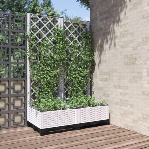 Hochbeet Metall Balkon Pflanzkübel Mit Rankgitter Weiß 80×40×121,5 cm PP, Pflanzkübel Hoch Für Balkon Terrasse, Blumenkasten Für Gemüse Blumen Kräuter Hochbeet Metall Balkon Pflanzkübel Mit Rankgitter Weiß 80×40×121,5 cm PP, Pflanzkübel Hoch Für Balkon Terrasse, Blumenkasten Für Gemüse Blumen Kräuter von Woonisher