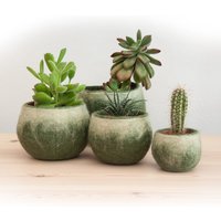 Blumentopf-Abdeckung Aus Filz Moderner Innen-Blumentopf Mit Wasserdichter Basis Blumentopf-Abdeckung Aus Filz Moderner Innen-Blumentopf Mit Wasserdichter Basis von Wooppers