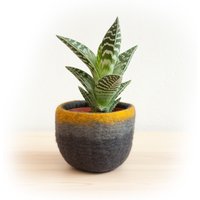 Sukkulenten-Topf, Gefilzte Woll-Blumentopf-Abdeckung Mit Wasserdichtem Futter Für 4-Zoll-Pflanzgefäße, Kleiner Versandfertiger Pflanzentopf von Wooppers
