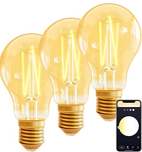 Woox Smart Vintage Glühbirne E27, Edison WLAN Retro Lampe Warmweiß Dimmbar 2700K-6500K,4.9W 470lm Retro Deko Birne Glühbirne kompatibel mit Alexa/Google Home, Ideal für Retrobeleuchtung,3 Stück von Woox