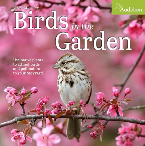 Audubon Birds in the Garden Wall Calendar 2025: Use Native Plants to Attract Birds and Pollinators to Your Backyard von Workman Publishing