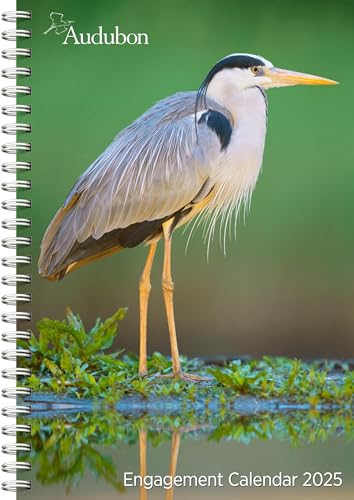 Audubon Engagement Calendar 2025: A Tribute to the Wilderness and Its Spectacular Landscapes von Workman Publishing
