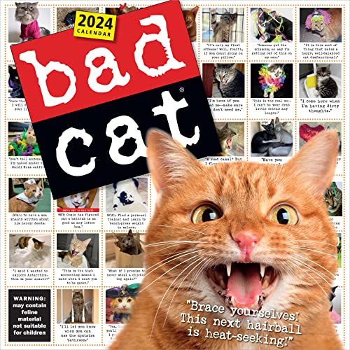 Bad Cat Wall Calendar 2024: Celebrating the Misfits of the Feline World von Workman Publishing