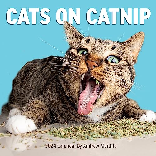 Cats on Catnip Wall Calendar 2024: A Year of Cats Living the High Life and Feeling Niiiiice Cats on Catnip Wall Calendar 2024: A Year of Cats Living the High Life and Feeling Niiiiice von Workman Publishing